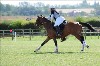 UKPA NC SAT_2282